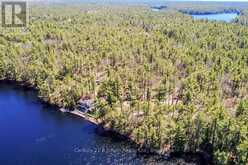 9 SEVERN RIVER 403 | Muskoka Lakes Ontario | Slide Image Thirty