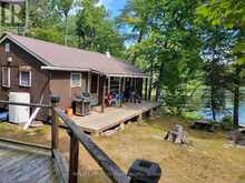 20 SR404 SEVERN RIVER | Coldwater Ontario | Slide Image One