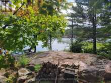 20 SR404 SEVERN RIVER | Coldwater Ontario | Slide Image Three
