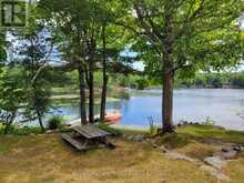 20 SR404 SEVERN RIVER | Coldwater Ontario | Slide Image Five
