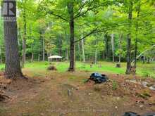 20 SR404 SEVERN RIVER | Coldwater Ontario | Slide Image Seven