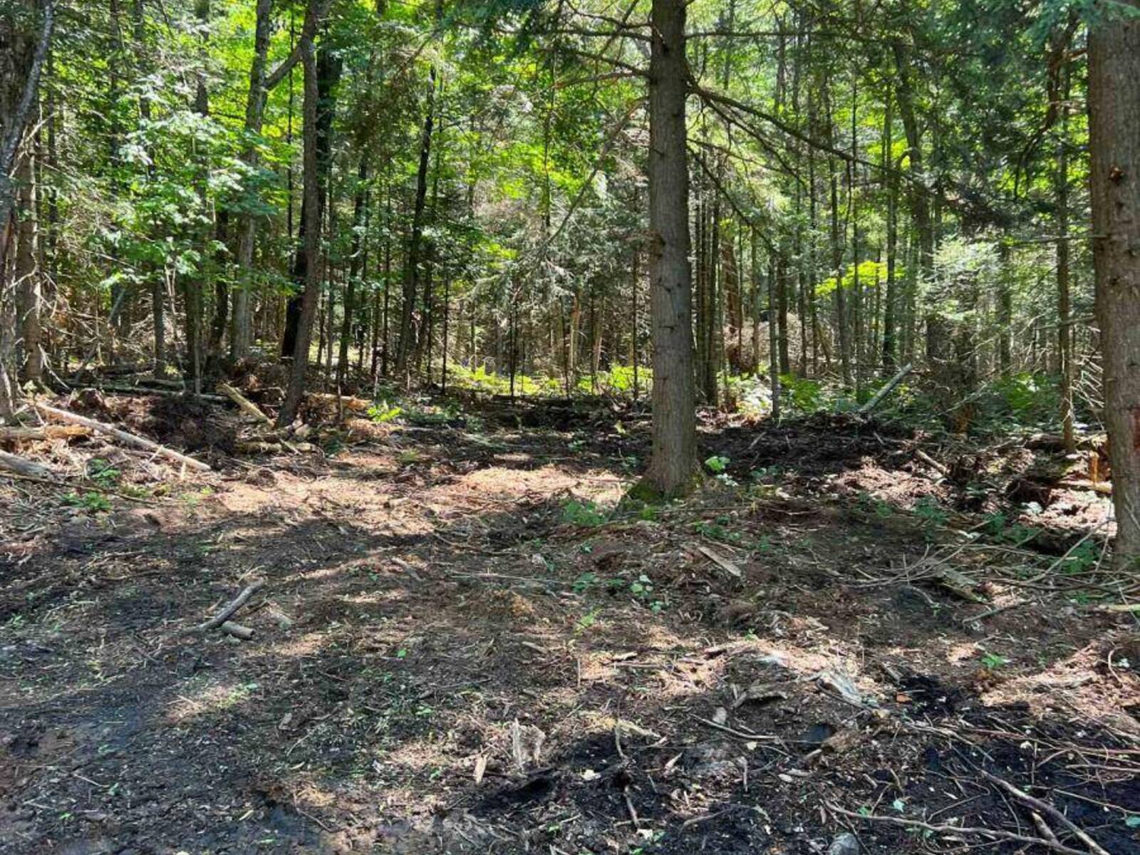 LOT 29 WEST COURT, Haliburton, Ontario K0M 1S0