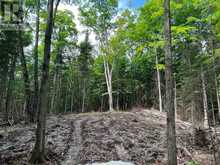 LOT 26 WEST COURT | Haliburton Ontario | Slide Image One