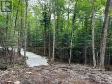 LOT 26 WEST COURT | Haliburton Ontario | Slide Image Two