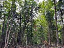 LOT 26 WEST COURT | Haliburton Ontario | Slide Image Three