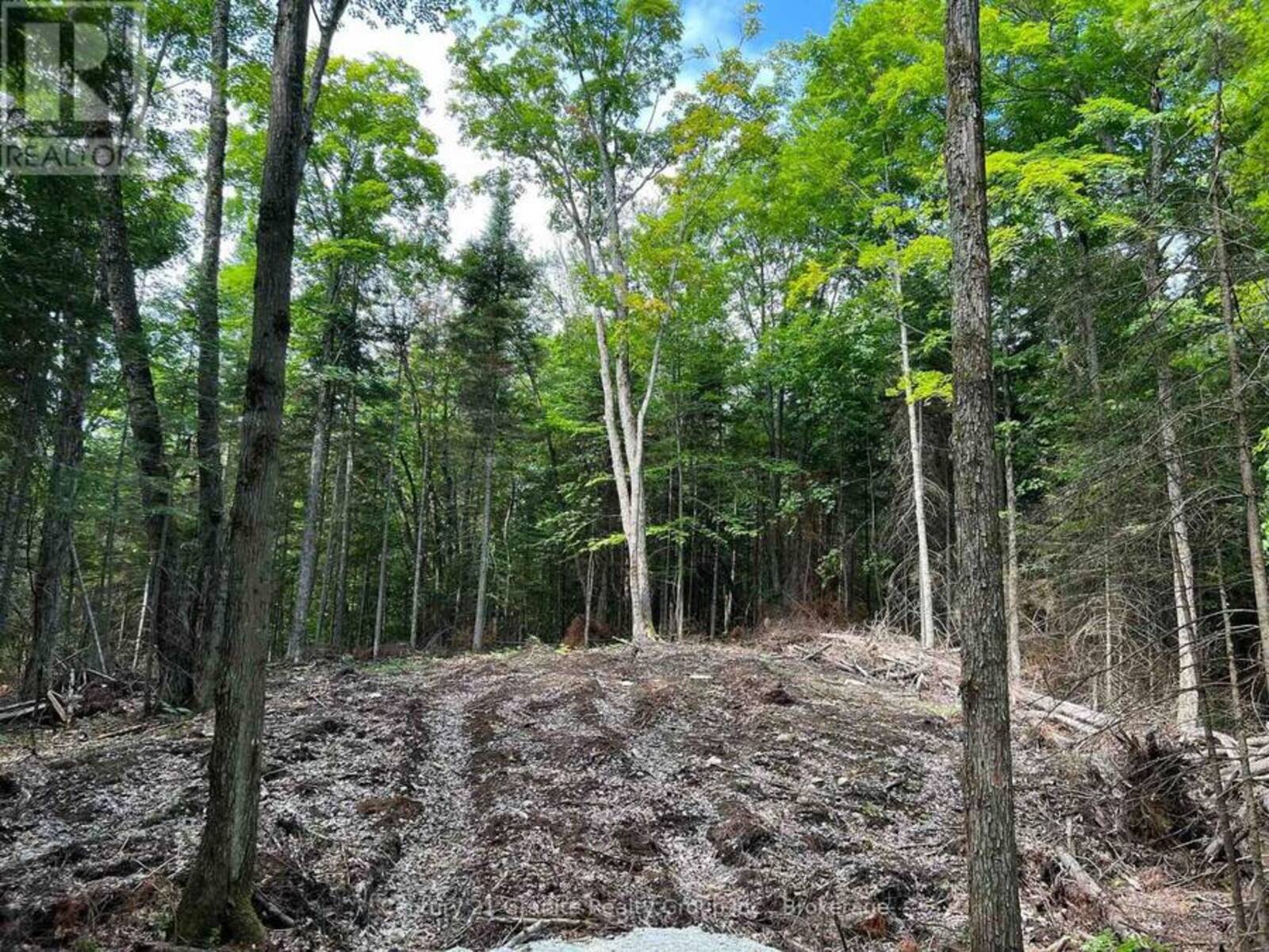 LOT 26 WEST COURT, Haliburton, Ontario K0M 1S0