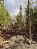 LOT 27 BUSHWOLF LAKE ROAD | Haliburton Ontario | Slide Image One
