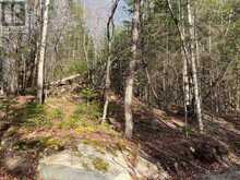 LOT 27 BUSHWOLF LAKE ROAD | Haliburton Ontario | Slide Image Two