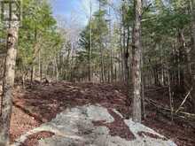 LOT 27 BUSHWOLF LAKE ROAD | Haliburton Ontario | Slide Image Three