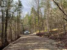 LOT 27 BUSHWOLF LAKE ROAD | Haliburton Ontario | Slide Image Four