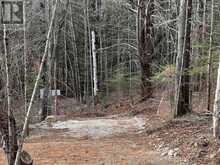 LOT 27 BUSHWOLF LAKE ROAD | Haliburton Ontario | Slide Image Five