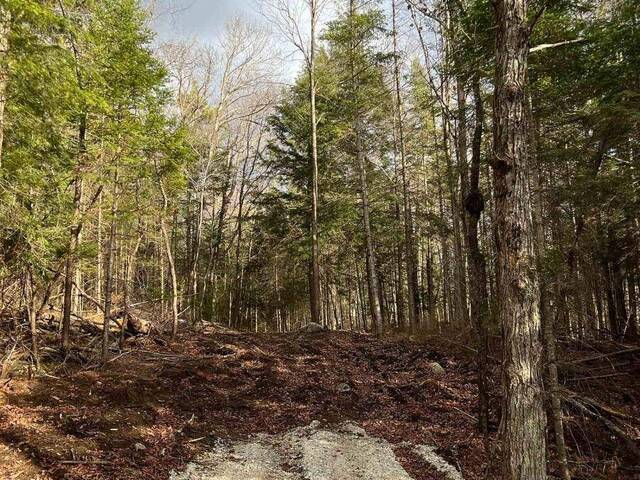 LOT 27 BUSHWOLF LAKE ROAD Haliburton Ontario, K0M 1S0 - Vacant Land For Sale