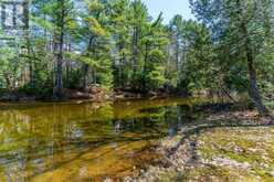 1065 CLOVERLEAF ROAD | Algonquin Highlands Ontario | Slide Image Forty-seven