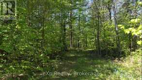 26 MAGNET ROAD | Magnetawan Ontario | Slide Image Seven