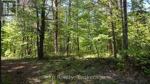 26 MAGNET ROAD | Magnetawan Ontario | Slide Image Eight