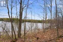 PT LT 6 BRADY LAKE ROAD | Minden Hills Ontario | Slide Image Two