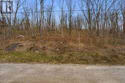 PT LT 6 BRADY LAKE ROAD | Minden Hills Ontario | Slide Image Three