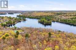 PT LT 6 BRADY LAKE ROAD | Minden Hills Ontario | Slide Image Seven