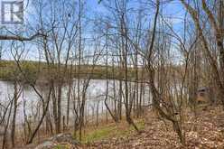 PT LT 6 BRADY LAKE ROAD | Minden Hills Ontario | Slide Image Nine