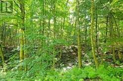 5 ARROW RIDGE ROAD | Bracebridge Ontario | Slide Image Five