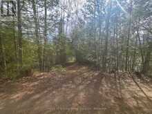 1325 ANDEK TRAIL | Kawartha Lakes Ontario | Slide Image Ten