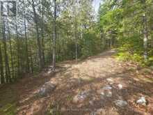 1325 ANDEK TRAIL | Kawartha Lakes Ontario | Slide Image Twelve
