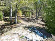 1325 ANDEK TRAIL | Kawartha Lakes Ontario | Slide Image Thirteen