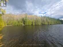 1325 ANDEK TRAIL | Kawartha Lakes Ontario | Slide Image Twenty-five