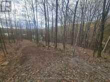 1325 ANDEK TRAIL | Kawartha Lakes Ontario | Slide Image Twenty-eight