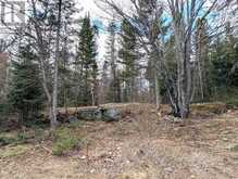 3785A EAGLE LAKE ROAD | Parry Sound Ontario | Slide Image Thirty-one