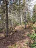 3785A EAGLE LAKE ROAD | Parry Sound Ontario | Slide Image Thirty-two