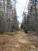 3785A EAGLE LAKE ROAD | Parry Sound Ontario | Slide Image Thirty-three