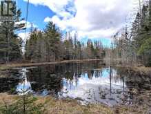 3785A EAGLE LAKE ROAD | Parry Sound Ontario | Slide Image Thirty-four