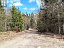 3785A EAGLE LAKE ROAD | Parry Sound Ontario | Slide Image Forty-four