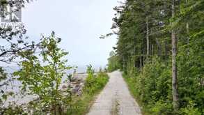 130 SOUTH SHORE ROAD | Lion's Head Ontario | Slide Image Forty-one