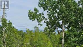 17 SHORELINE DRIVE | Miller Lake Ontario | Slide Image Thirty-one