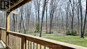 313 TAMMY'S COVE ROAD | Lion's Head Ontario | Slide Image Thirty-nine