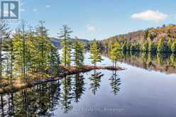 10835 RAVEN LAKE WEST SHORE TOWNSHIP | Lake of Bays Ontario | Slide Image Ten
