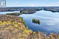 10835 RAVEN LAKE WEST SHORE TOWNSHIP | Lake of Bays Ontario | Slide Image Twelve