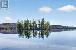 10835 RAVEN LAKE WEST SHORE TOWNSHIP | Lake of Bays Ontario | Slide Image Twenty-seven