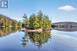 10835 RAVEN LAKE WEST SHORE TOWNSHIP | Lake of Bays Ontario | Slide Image Seven