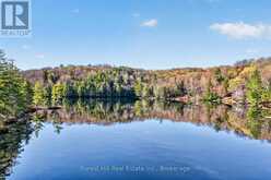 10835 RAVEN LAKE WEST SHORE TOWNSHIP | Lake of Bays Ontario | Slide Image Nine