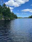 104 KAWIGAMOG LAKE | Parry Sound Ontario | Slide Image Three