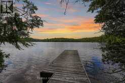 20871 HIGHWAY 35 | Haliburton Ontario | Slide Image One