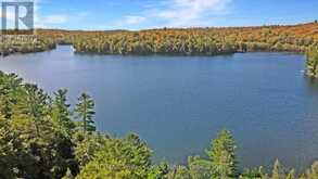 20871 HIGHWAY 35 | Haliburton Ontario | Slide Image Forty-seven