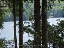 20871 HIGHWAY 35 | Haliburton Ontario | Slide Image Forty-six