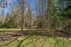 2519 SOUTH HORN LAKE RD R.R.#3 ROAD | Magnetawan Ontario | Slide Image Twenty-nine