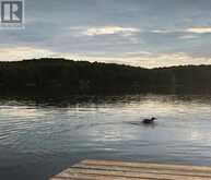 1201 TRELLIS TRAIL | Minden Hills Ontario | Slide Image Six