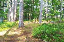 1 BRILL'S ISLAND | North Bay Ontario | Slide Image Thirty-seven