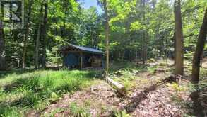1060 BAKER SIDE ROAD | Bracebridge Ontario | Slide Image Six
